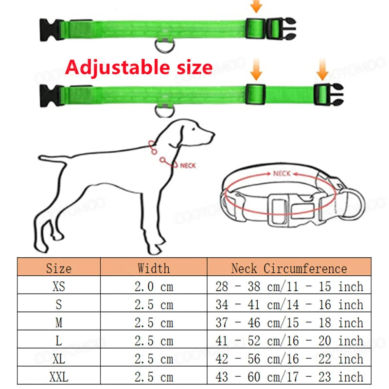 EverPaw USB Rechargeable LED Dog Collar – 3 Light Modes for Night Safety