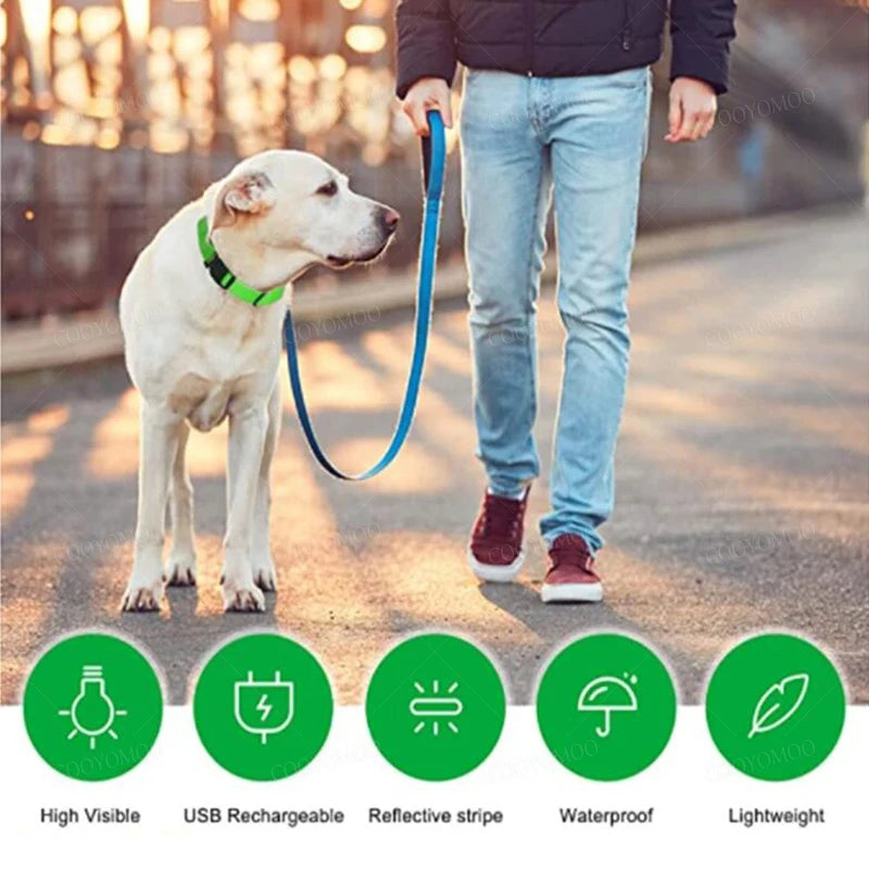 EverPaw USB Rechargeable LED Dog Collar – 3 Light Modes for Night Safety