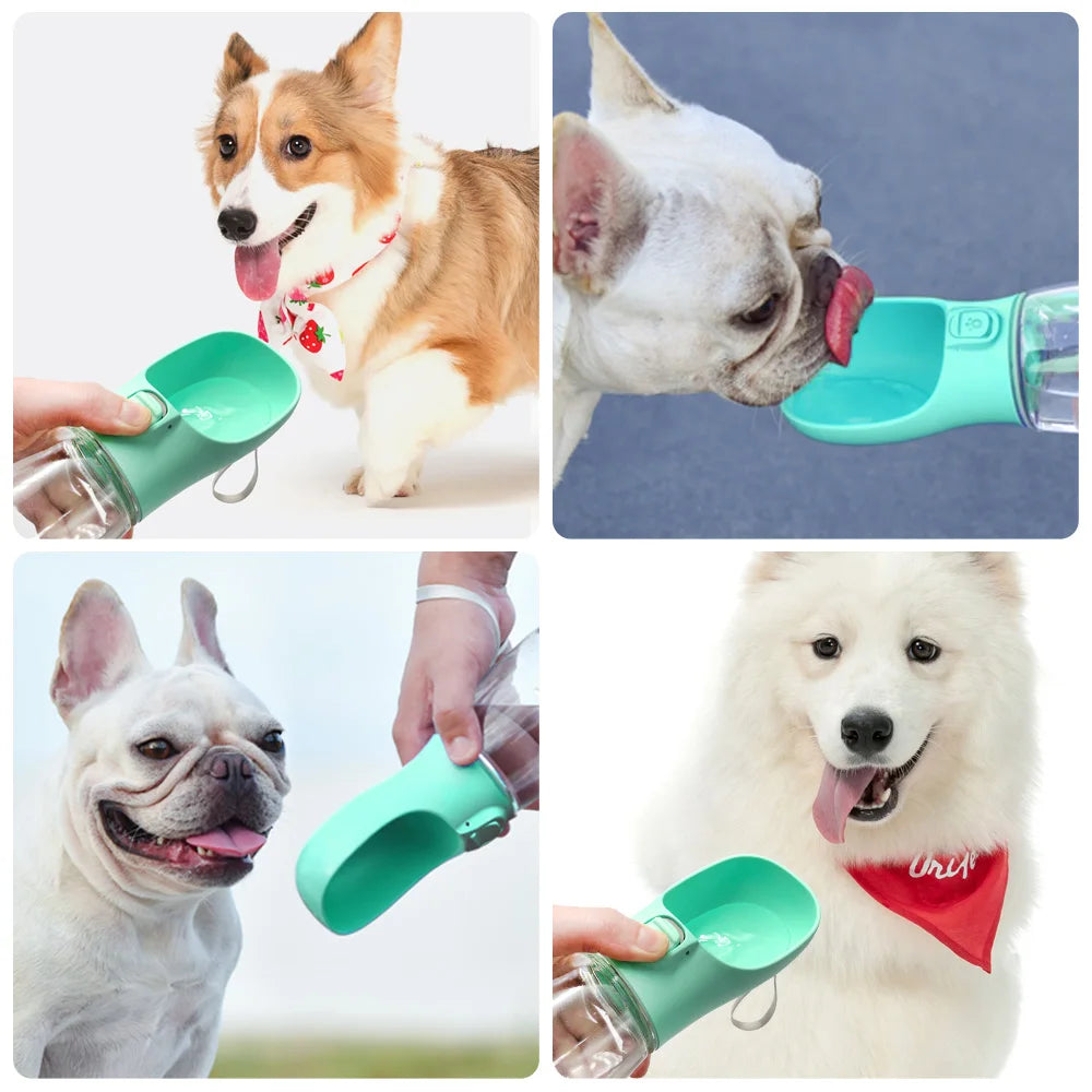 EverPaw Portable Dog Water Bottle - Leakproof Travel Bowl for Walks & Adventures