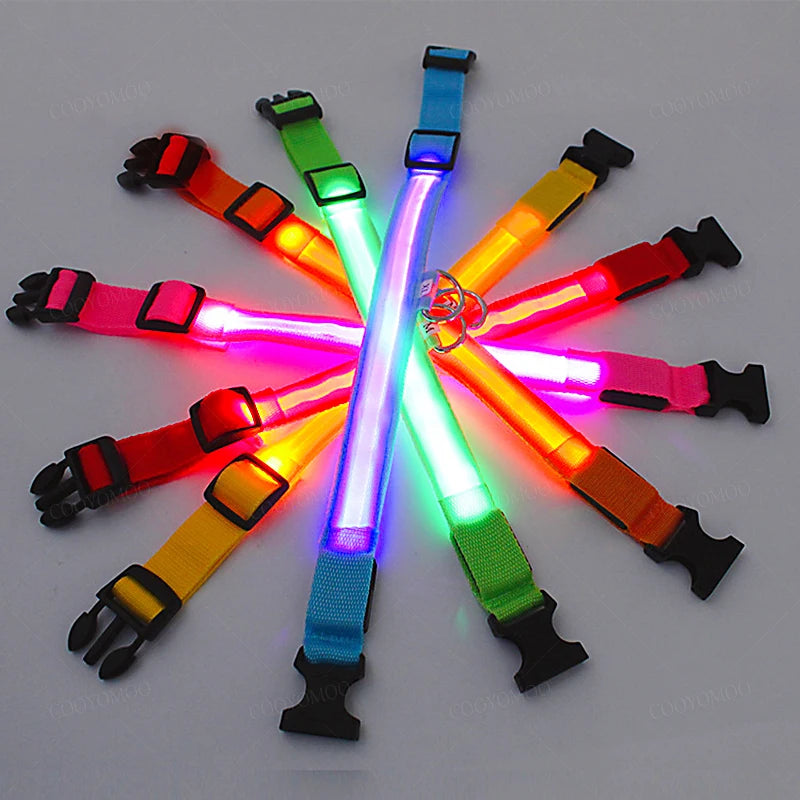 EverPaw USB Rechargeable LED Dog Collar – 3 Light Modes for Night Safety