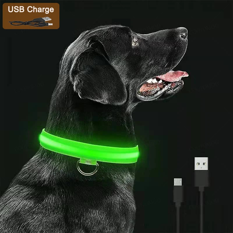 EverPaw USB Rechargeable LED Dog Collar – 3 Light Modes for Night Safety